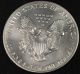 1993 American Silver Eagle Bullion Coin Key Date Choice Gem Bu Nr Silver photo 2