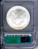 2007 Icg Ms70 Us Silver Eagle,  Graded Perfect Dollar Silver photo 1