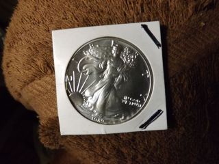 1989 American Eagle Silver Dollar 1 Oz Ungraded photo