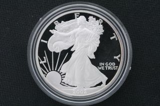 2002 W American Silver Eagle.  999 Fine 1 Oz Bullion Coin W/ Box photo