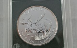 2012 1 Oz Silver Canadian Moose (wildlife Series) Coin 4 - Slabbed photo