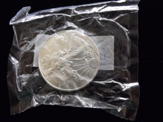 2013 Silver Eagle Uncirculated Littleton Coin Co. photo
