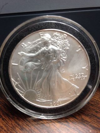 United States Silver Dollar,  2001 photo