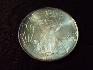 Coinhunters - 1995 American Silver Eagle - State - Rainbow Toned photo