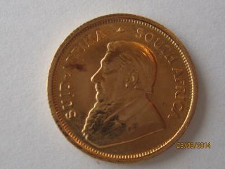 1981 South Africa 1/10th Oz Fine Gold Coin photo