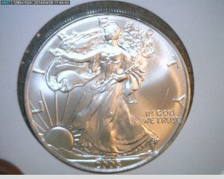 2005 American Eagle Silver Dollar,  1 Oz Silver,  From The Us (x - 2234) photo