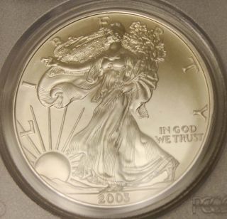 2003 United States Eagle $1 Coin - Pcgs Grade Ms69 photo