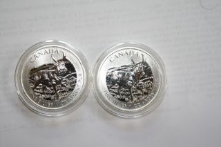 2013 1 Oz Silver Canadian Antelope Coin - Wildlife Series photo
