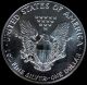 1987 Silver American Eagle $1 One Dollar Coin - 1 Troy Oz.  Fine Silver Silver photo 1