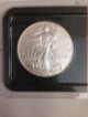 2001 Silver American Eagle Dollar.  999 Silver 1 Troy Oz In Case Silver photo 1