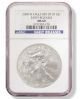 2008 - W American Silver Eagle,  Early Release,  Reverse Of 2007,  Ngc Ms 69 Silver photo 1