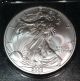 2003 American Eagle - - - - 1oz.  9993 Fine Silver Uncirculated - - - - Littleton Coin Pack Silver photo 1