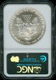 1993 Ms - 69 Ngc Silver Eagle Silver photo 1