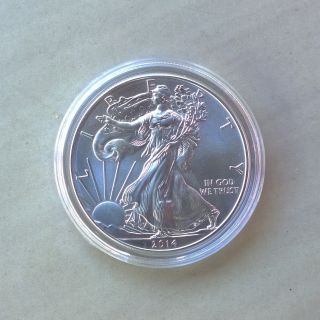 Coin Case 2014 American Silver Eagle 1 Oz.  999 Silver Coin photo
