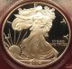 2004 - W 1 Oz Proof Silver American Eagle $1 Pcgs Pr70 Deep Cameo Registry Coin Silver photo 2