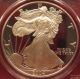 2004 - W 1 Oz Proof Silver American Eagle $1 Pcgs Pr70 Deep Cameo Registry Coin Silver photo 3