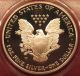 2004 - W 1 Oz Proof Silver American Eagle $1 Pcgs Pr70 Deep Cameo Registry Coin Silver photo 6