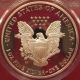 2004 - W 1 Oz Proof Silver American Eagle $1 Pcgs Pr70 Deep Cameo Registry Coin Silver photo 7