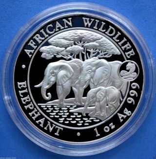 2013 Somalian African Elephant Snake Privy 1 Oz.  999 Fine Silver Coin photo