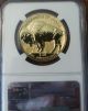 Gold 2013w Reverse Proof 70 Graded At Ngc Silver photo 1