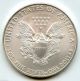 2009 American Eagle Fine Silver Dollar - 1 Oz Troy Bullion Coin - S1s Kr692 Silver photo 1
