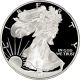1995 - W American Silver Eagle Proof - Ngc Pf70 Ucam Silver photo 2