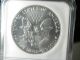 1988 Silver Eagle - - - - Ngc Ms69 - - - Choice,  White Coin - - - - Silver photo 1