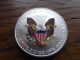 2000 American Silver Eagle,  Colorized Both Sides - Winter Theme Silver photo 5