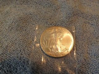 2010 American Silver Eagle Dollar 1 Oz Ungraded photo