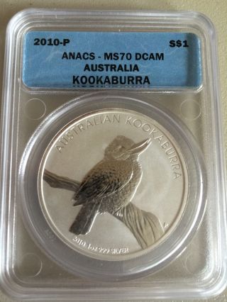 2010 - P Australian Kookaburra $1 Silver Coin.  999 1 Oz Anacs Ms70 Dcam photo