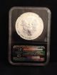2013 W Silver Eagle Reverse Ngc Pf70 First Releases Silver photo 1