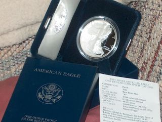 2004 - W American Eagle Silver Proof Coin photo