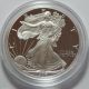 1996 - P Proof American Silver Eagle Dollar Bullion Coin W/ Box & Coins: US photo 1