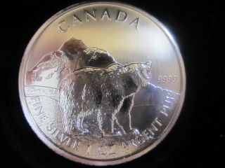 $5 Silver Maple Leaf 1 Oz Round 99.  99% Pure Silver Canada 2011 Grizzly Bear photo
