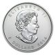 2014 1 Oz Fine Silver Canadian Peregrine Falcon Colorized Coin - Ready To Ship Silver photo 1