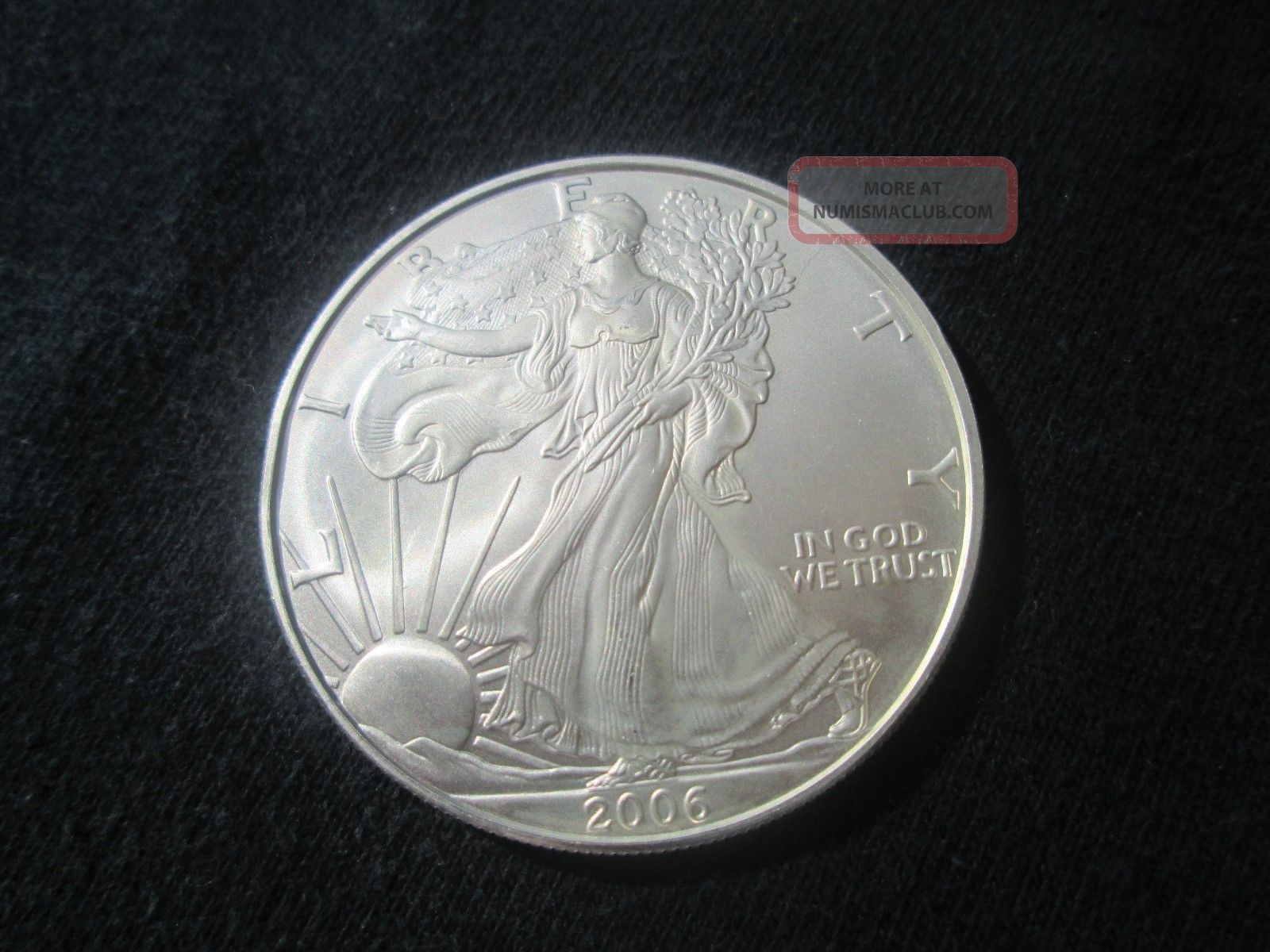 999 Fine Silver Troy Ounce 1 Coin 999-fine-silver-troy-ounce-1-coin