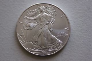 2008 Silver Eagle photo