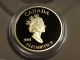 2001 Canada 3 Cent 24k Gold Plated Silver Coin&stamp Set+1 Troy Ounce Silver Bar Coins: Canada photo 2