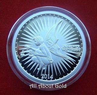 Solid Silver Round 1 Troy Oz Silverbug Community Bug Scales Sun Array.  999 Proof photo