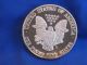 1994 Giant Commemorative American Silver Eagle 12 Troy Ounce.  999 Fine B4056l Silver photo 1