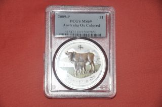 2009 Australia Lunar Year Of The Ox 1 Troy Oz 999 Silver Pcgs 69 Colorized Color photo