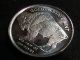 5 Cent Size Indain Head Buffalo 1/10 Oz.  999 Silver Silver photo 2