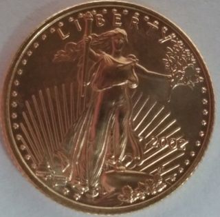 2002 $5 American Gold Eagle 1/10 Oz.  Ms+++ photo
