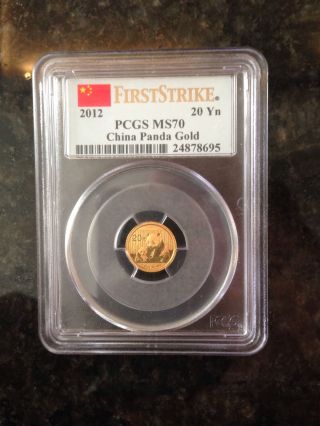 2012 China Panda Gold 1/20oz.  9999 Coin Pcgs Ms70 First Strike 20 Yn Yuan Graded photo