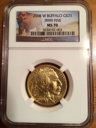 2008 W Buffalo Gold $25 Ngc Ms70 Bison Label photo