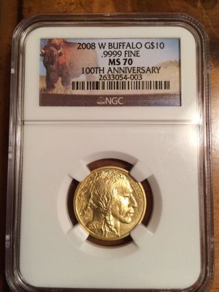 2008 W $10 Gold Buffalo Ngc Ms 70 1/4 Oz Bison Label photo