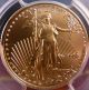 2009 $10 Gold Eagle Ms70 Graded By Pcgs (1/4 Oz.  Gold) Gold photo 2