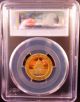 China 2013 Panda 100 Y N 1/4 Oz Gold Coin - Pgcs Ms69 - Gold photo 1