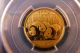 China 2013 Panda 100 Y N 1/4 Oz Gold Coin - Pgcs Ms69 - Gold photo 2
