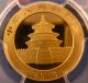 China 2013 Panda 100 Y N 1/4 Oz Gold Coin - Pgcs Ms69 - Gold photo 3
